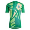 Maillot de Gardien Italie Euro 2024 Verte Pour Homme